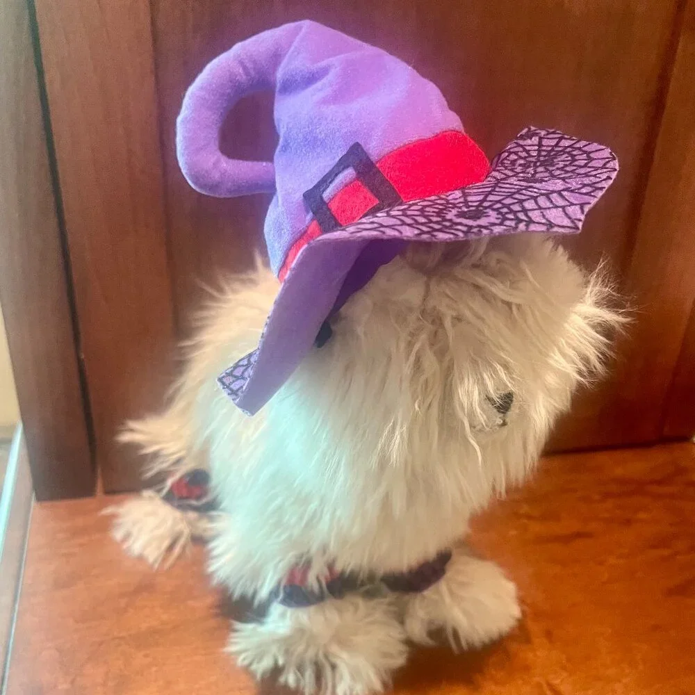 Witch Halloween Costume for Kitty